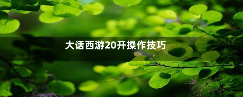 大话西游20开操作技巧