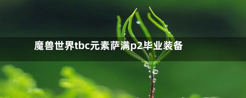 魔兽世界tbc元素萨满p2毕业装备