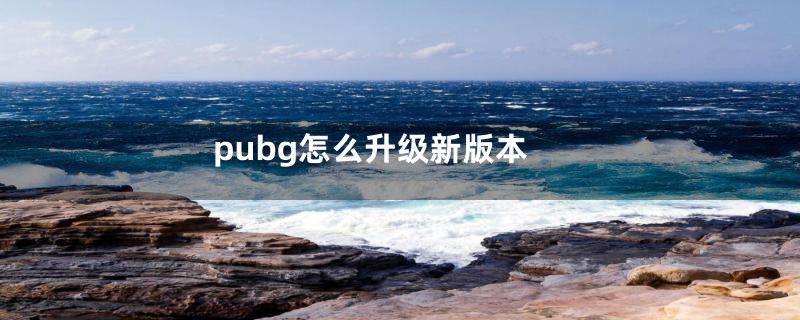 pubg怎么升级新版本