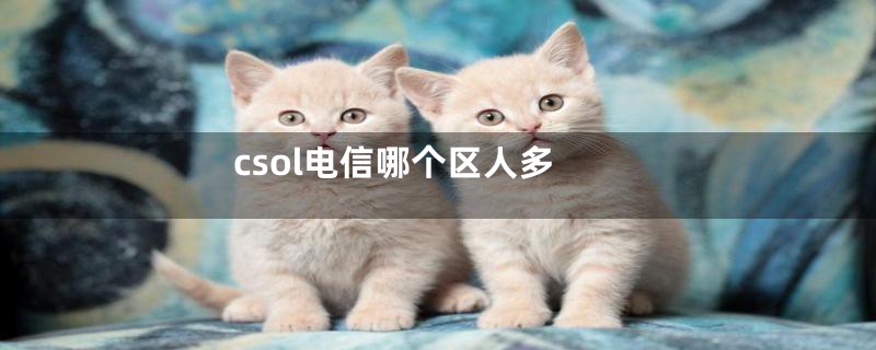 csol电信哪个区人多