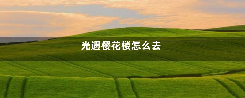 光遇樱花楼怎么去