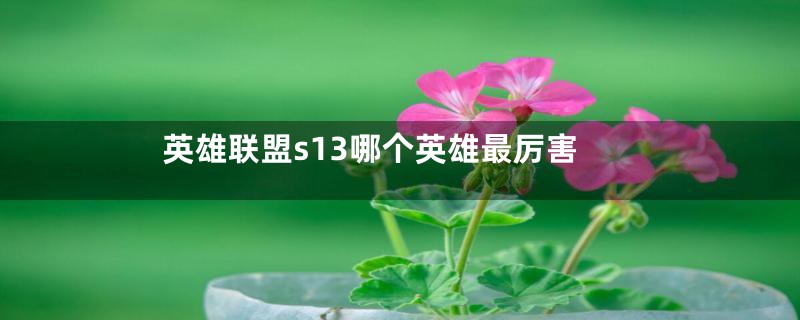 英雄联盟s13哪个英雄最厉害