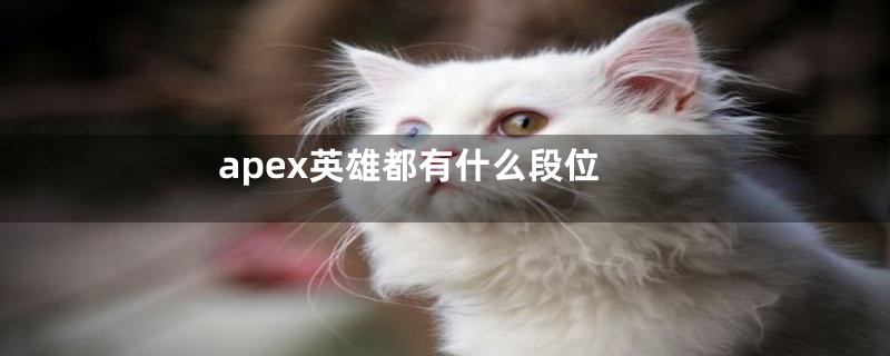 apex英雄都有什么段位