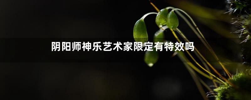 阴阳师神乐艺术家限定有特效吗