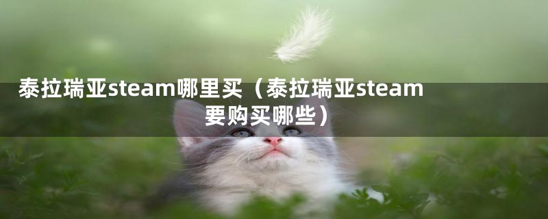 泰拉瑞亚steam哪里买（泰拉瑞亚steam要购买哪些）