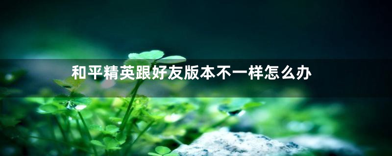 和平精英跟好友版本不一样怎么办