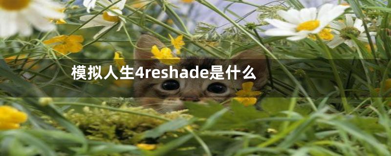 模拟人生4reshade是什么