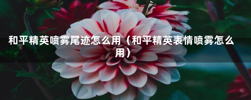 和平精英喷雾尾迹怎么用（和平精英表情喷雾怎么用）