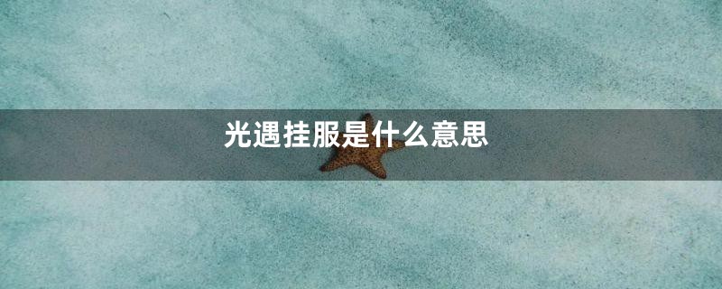 光遇挂服是什么意思