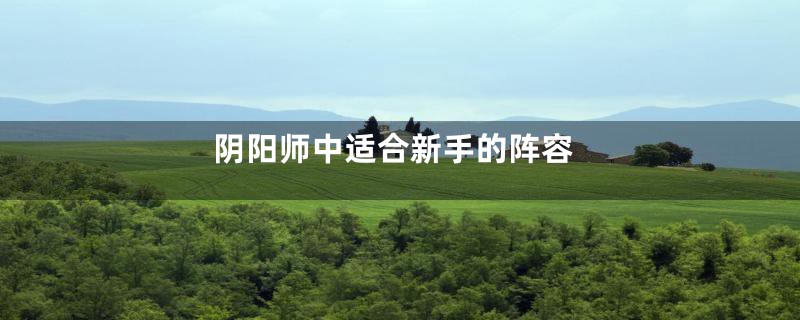 阴阳师中适合新手的阵容