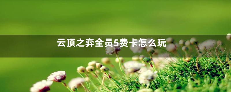 云顶之弈全员5费卡怎么玩
