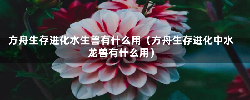 方舟生存进化水生兽有什么用（方舟生存进化中水龙兽有什么用）