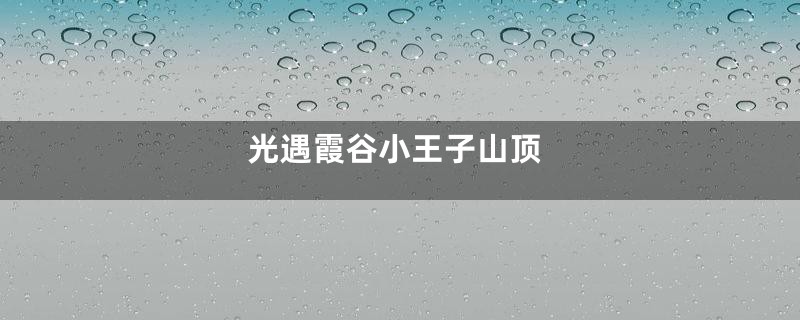 光遇霞谷小王子山顶