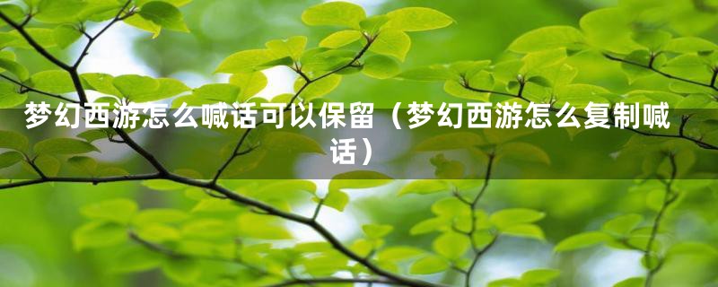 梦幻西游怎么喊话可以保留（梦幻西游怎么复制喊话）