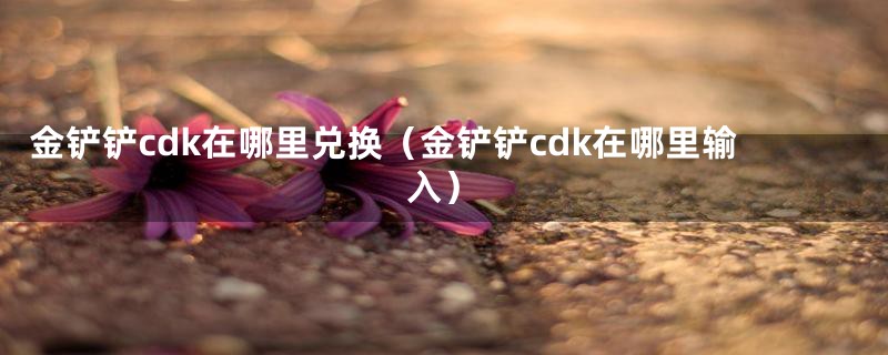 金铲铲cdk在哪里兑换（金铲铲cdk在哪里输入）