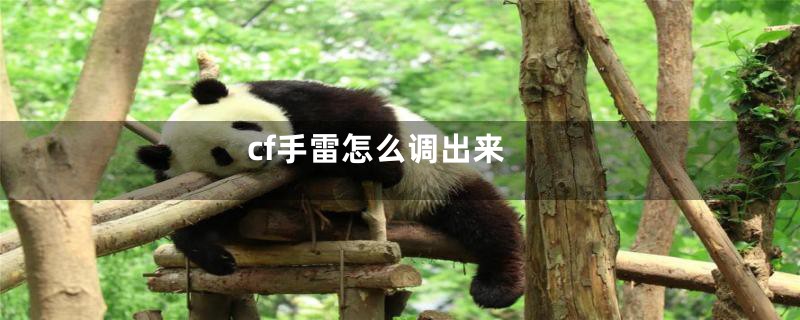 cf手雷怎么调出来