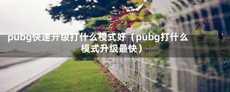 pubg快速升级打什么模式好（pubg打什么模式升级最快）