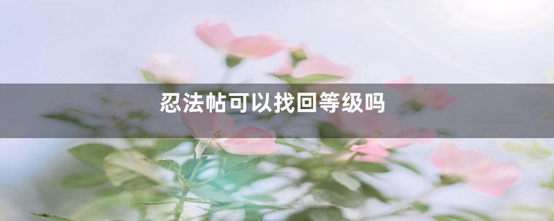 忍法帖可以找回等级吗