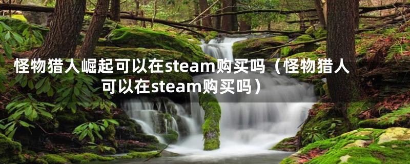 怪物猎人崛起可以在steam购买吗（怪物猎人可以在steam购买吗）