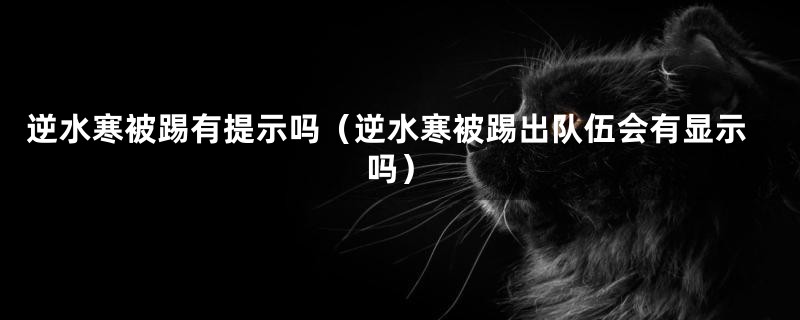 逆水寒被踢有提示吗（逆水寒被踢出队伍会有显示吗）