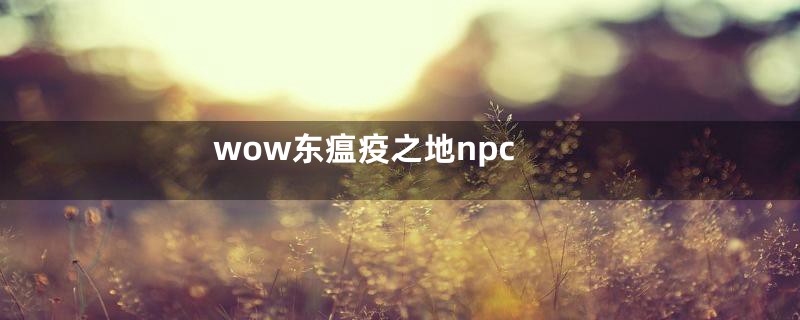 wow东瘟疫之地npc