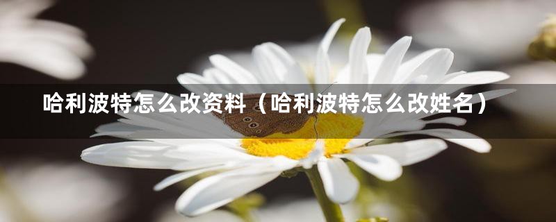 哈利波特怎么改资料（哈利波特怎么改姓名）