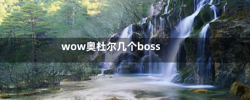 wow奥杜尔几个boss