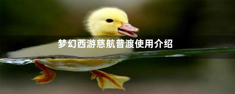 梦幻西游慈航普渡使用介绍