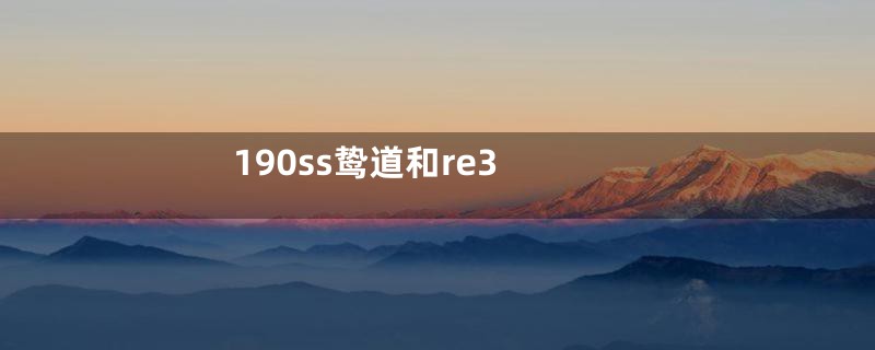 190ss鸷道和re3