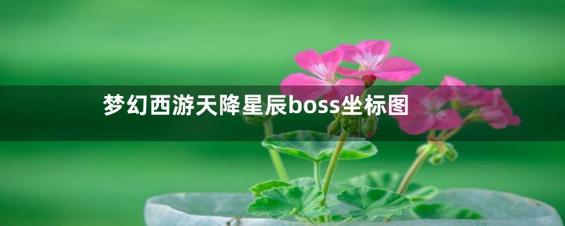 梦幻西游天降星辰boss坐标图