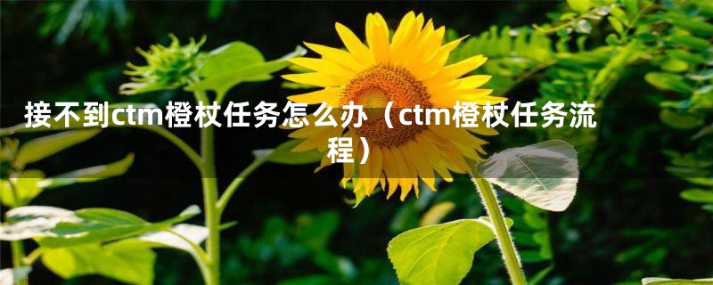 接不到ctm橙杖任务怎么办（ctm橙杖任务流程）