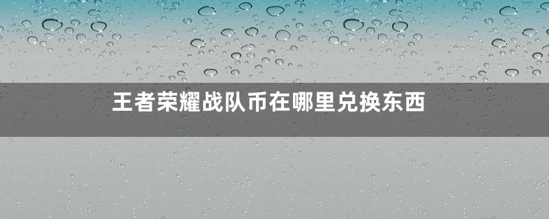 王者荣耀战队币在哪里兑换东西