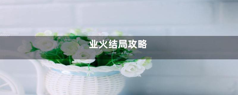 业火结局攻略