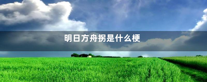 明日方舟拐是什么梗