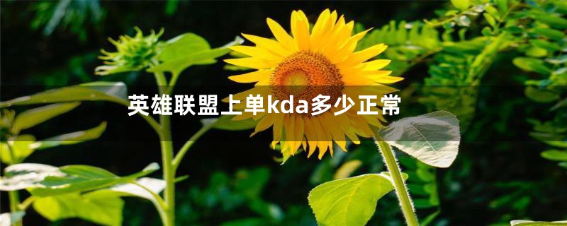 英雄联盟上单kda多少正常