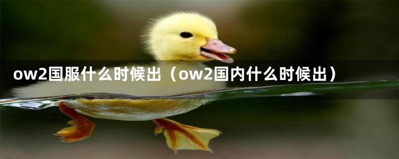 ow2国服什么时候出（ow2国内什么时候出）