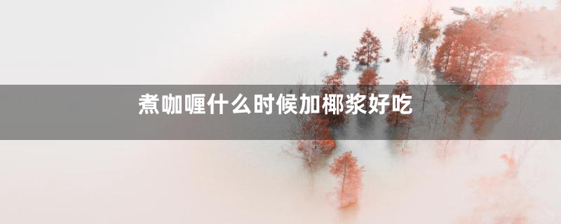 煮咖喱什么时候加椰浆好吃