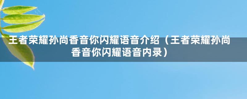 王者荣耀孙尚香音你闪耀语音介绍（王者荣耀孙尚香音你闪耀语音内录）