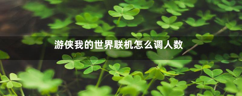 游侠我的世界联机怎么调人数