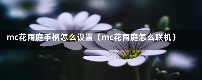 mc花雨庭手柄怎么设置（mc花雨庭怎么联机）