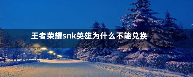 王者荣耀snk英雄为什么不能兑换