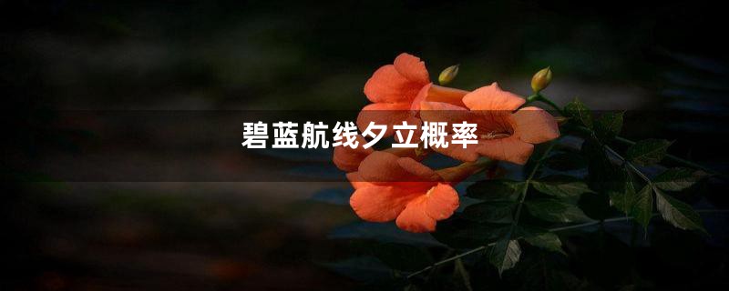 碧蓝航线夕立概率