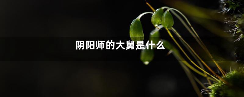 阴阳师的大舅是什么