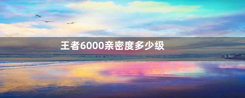 王者6000亲密度多少级