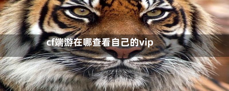 cf端游在哪查看自己的vip