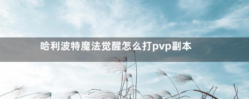 哈利波特魔法觉醒怎么打pvp副本