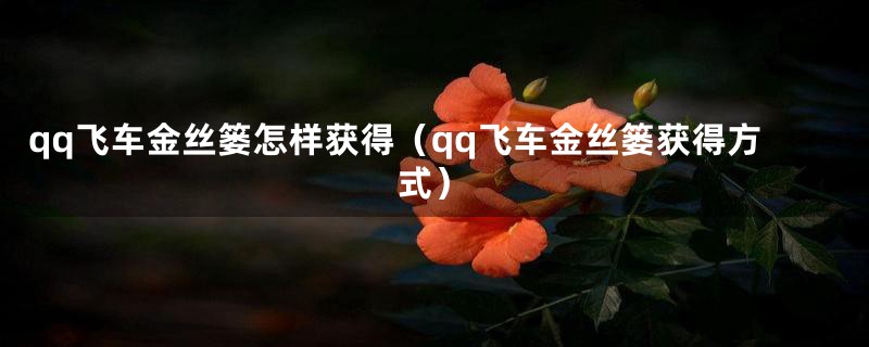 qq飞车金丝篓怎样获得（qq飞车金丝篓获得方式）