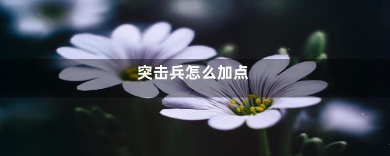 突击兵怎么加点