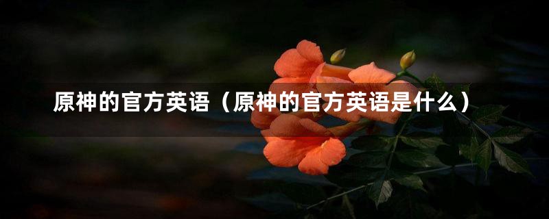 原神的官方英语（原神的官方英语是什么）