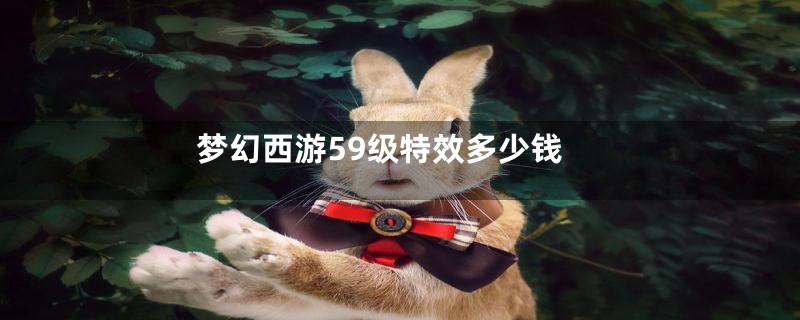 梦幻西游59级特效多少钱